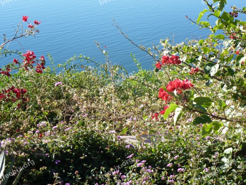 Water Ocean Shoreline Nature Pacific