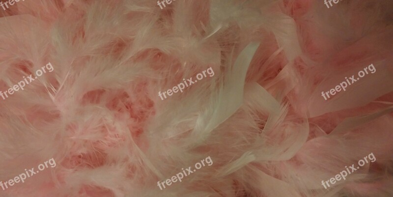 Feather Boa Boa Feathers Pink Scarf