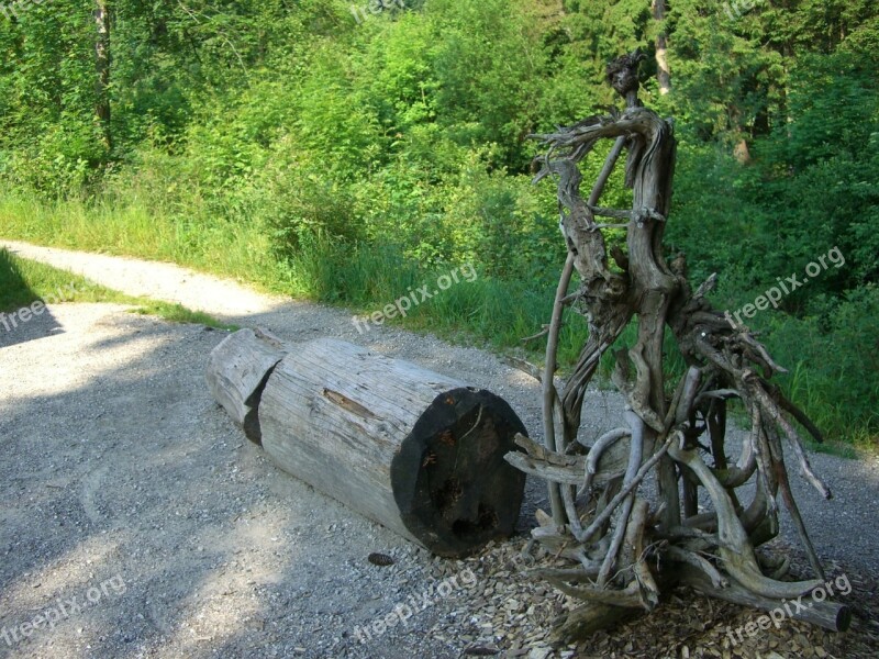 Tree Root Gnarled Root Figure Vielfuessler