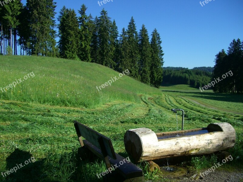 Water Fountain Log Only Meadow Grass