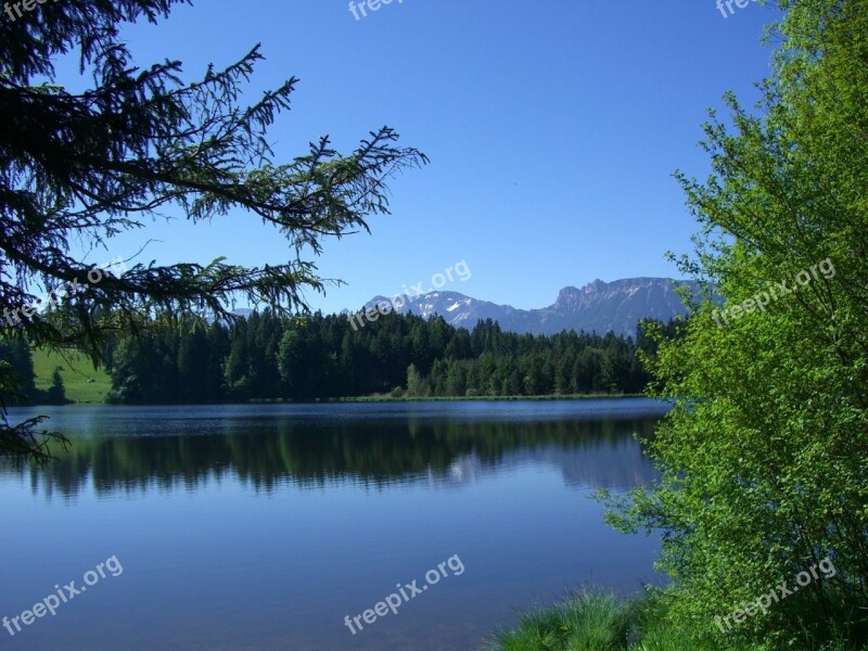 Kögel Pond Mirroring Firs Mountain Panorama Aggenstein