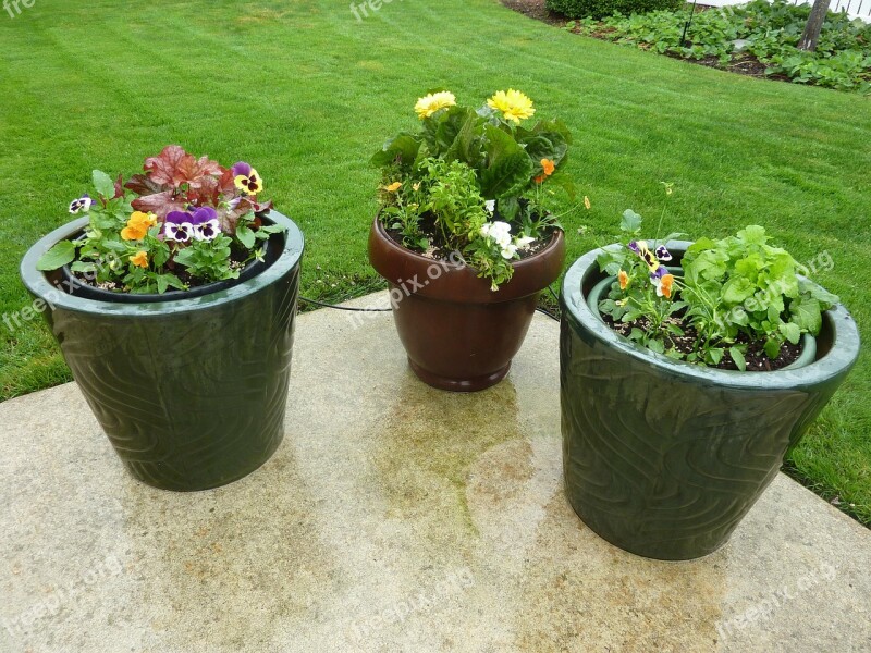 Flowers Pots Patio Potted Containers