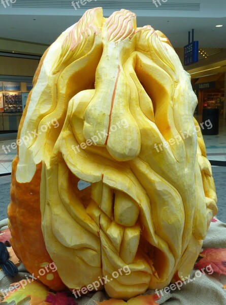 Pumpkin Carved Halloween Face Squash