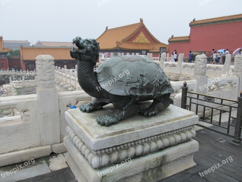 Turtle Dragon Statue Temple Guardian Temple