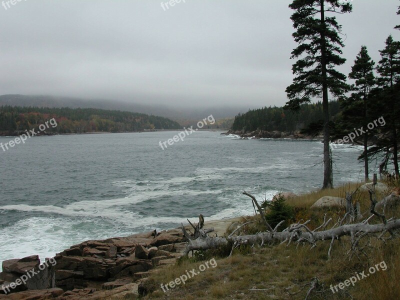 Acadia National Park Maine Bay Trees Forest