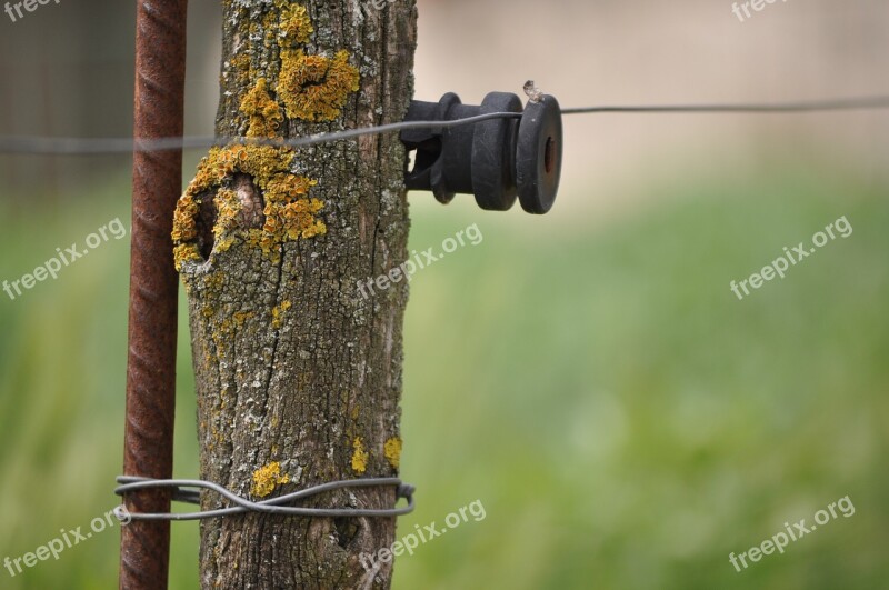 Power Cord Rustic Nature Free Photos