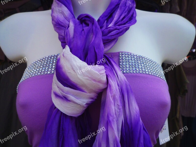 Scarf Violet Fashion Window Color