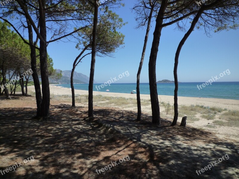 Sea Beach Mediterranean Sardinia Water