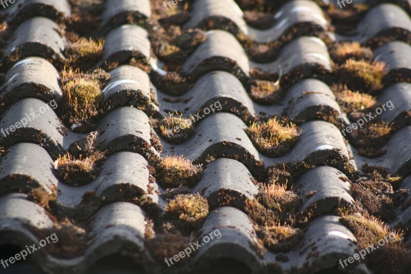 Tile Roof Roofing In Row And Member Regulation