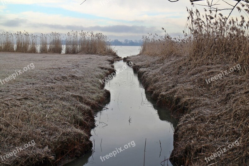 Frost Hoarfrost Entwạ̈sserungskanal Channel Meadow