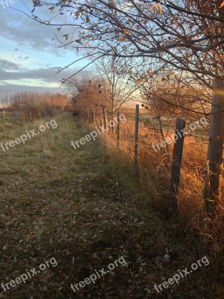 Farm Fence Dusk Flatbush Alberta