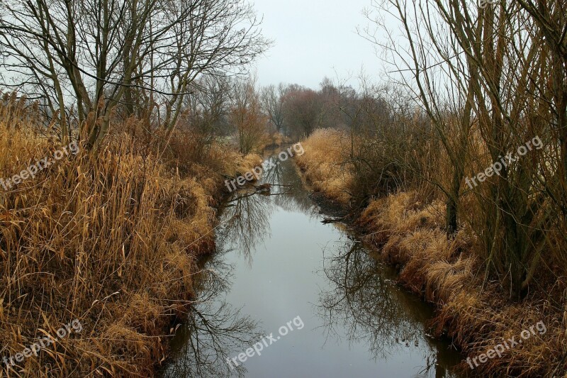 Eco System Biotope Entwạ̈sserungskanal Channel Meadow