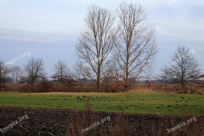 Arable Field Trees Landscape Sky