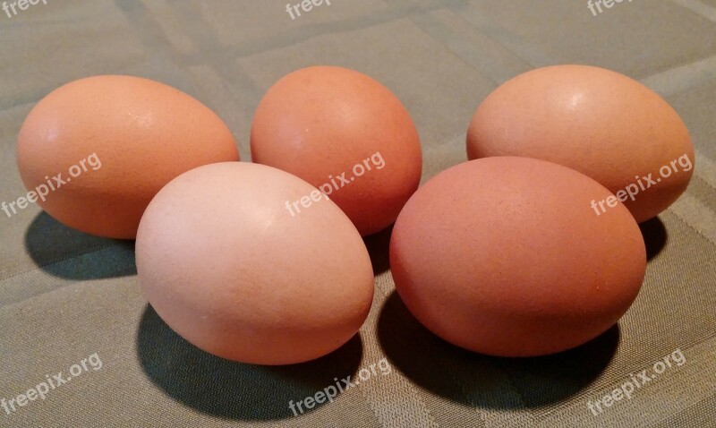 Eggs Egg Food Shell Chicken