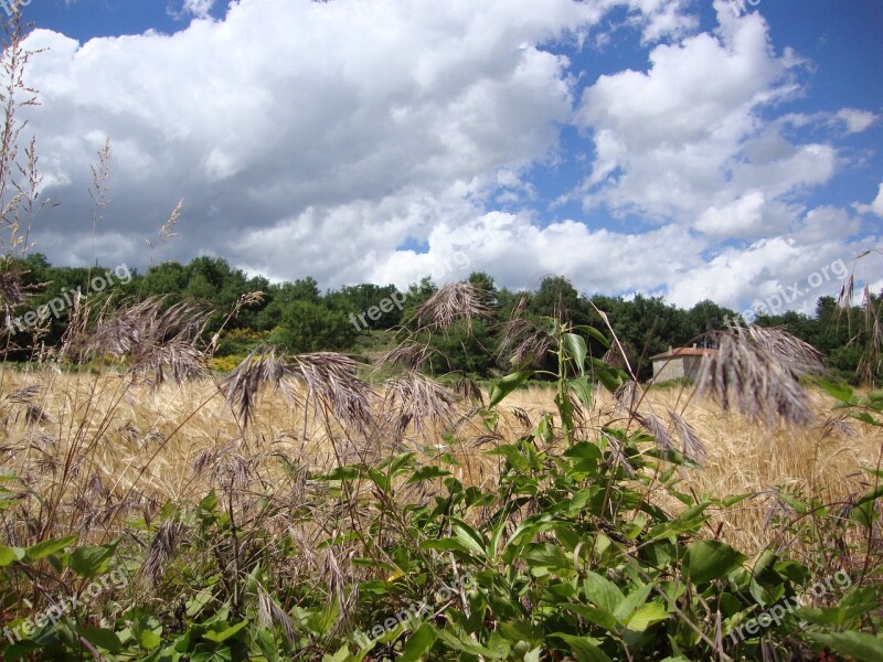 St Ostian Ardèche Grass Fields Landscape