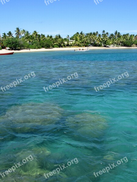 Fiji Boat Beach Palm Trees Vacations