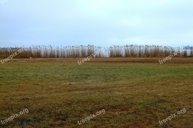 Horizon Meadow Reed Water Demarcation