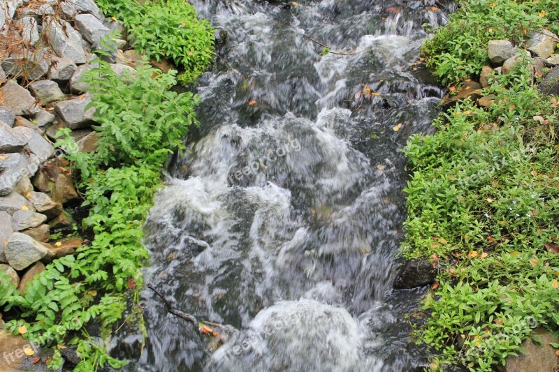 Bach Stones Murmur Waters River