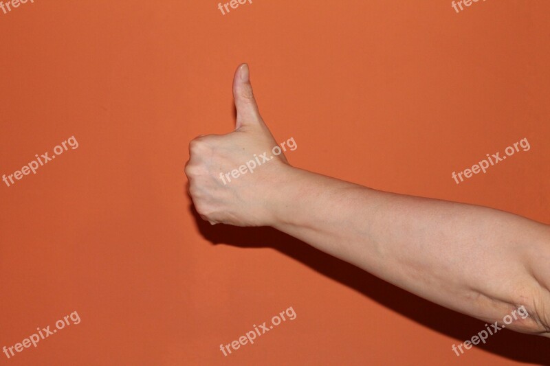 Thumb Hand Great Excellent Thumbs Up