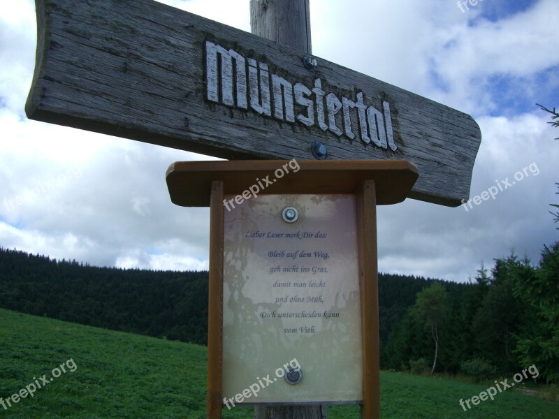 Directory Wood Münstertal Sky Clouds