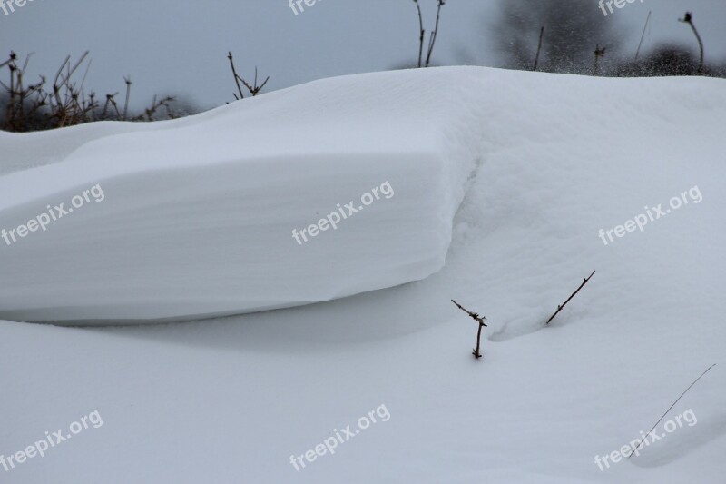 Snowdrift Winter Snow Cold Free Photos