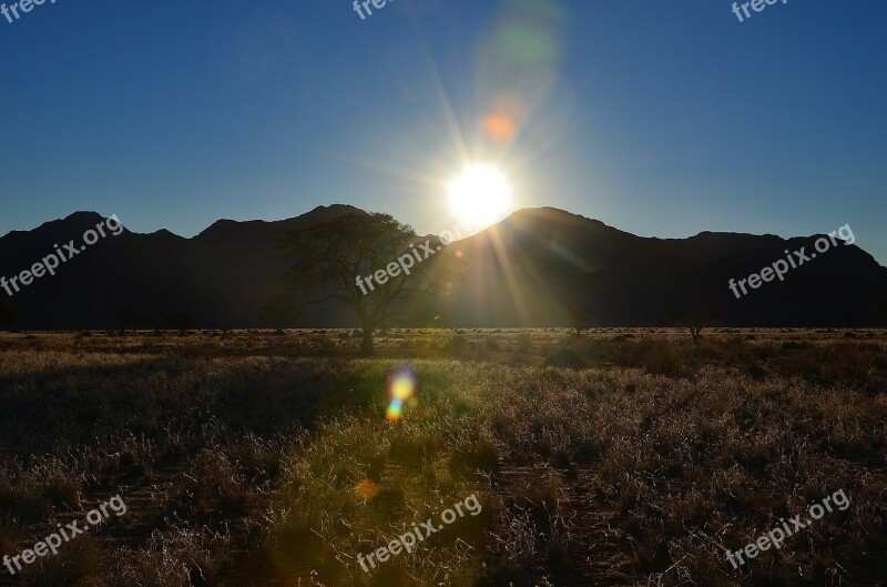 Landscape Sunset Nature Grass Sun