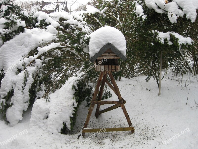 Bird Winter Aviary Snow Feeding