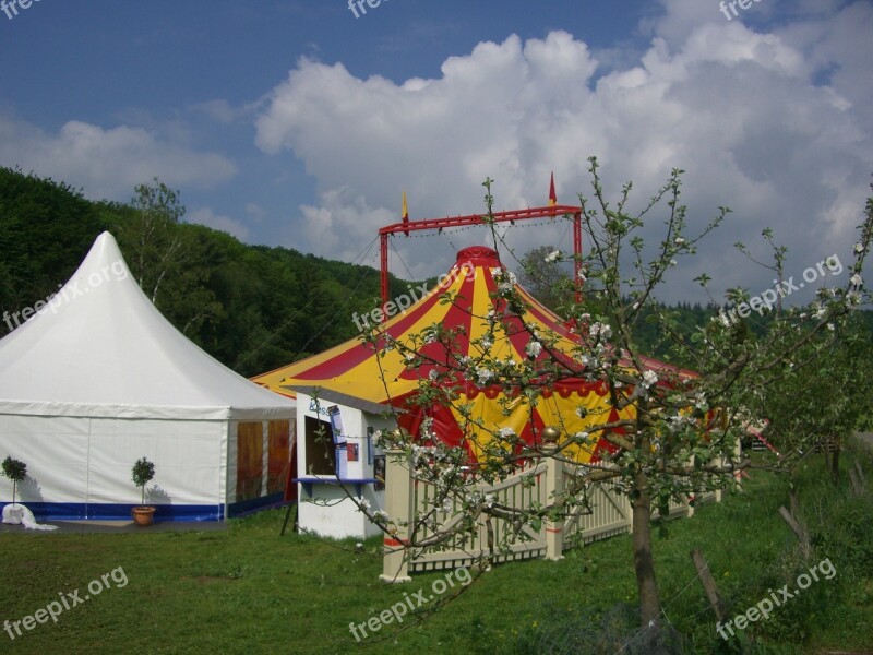 Circus Tent Circus In The Green Tent Colorful Yellow