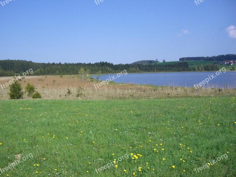 Attlesee Moor Meadow Sky Blue Nesselwang