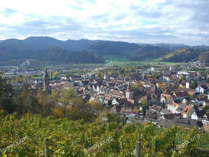 Gengenbach Vineyard Black Forest Swim Free Photos