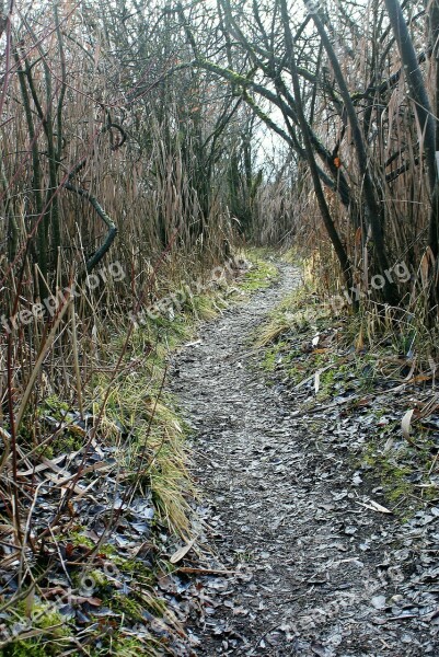 Trail Away Path Walk Water