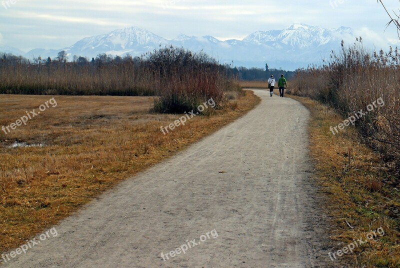 Human Personal Pair Lane Road