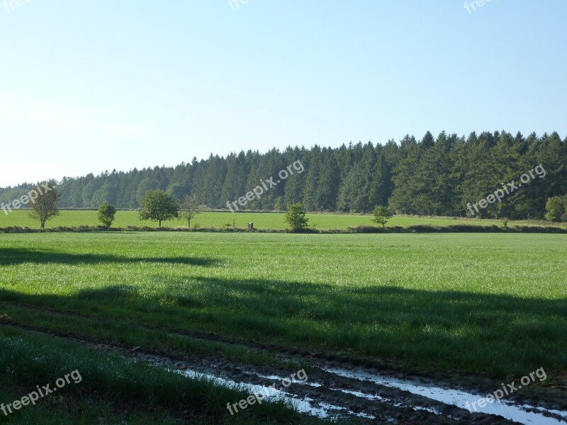 Dithmarschen Landscape Meadow Lichtspiel Light