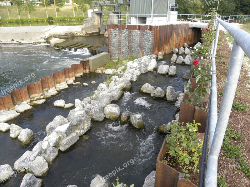 Fish Ladder Munderkingen Danube Free Photos