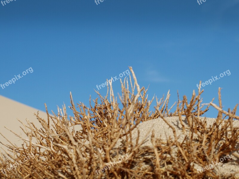 Desert Sand Sky Dry Hot