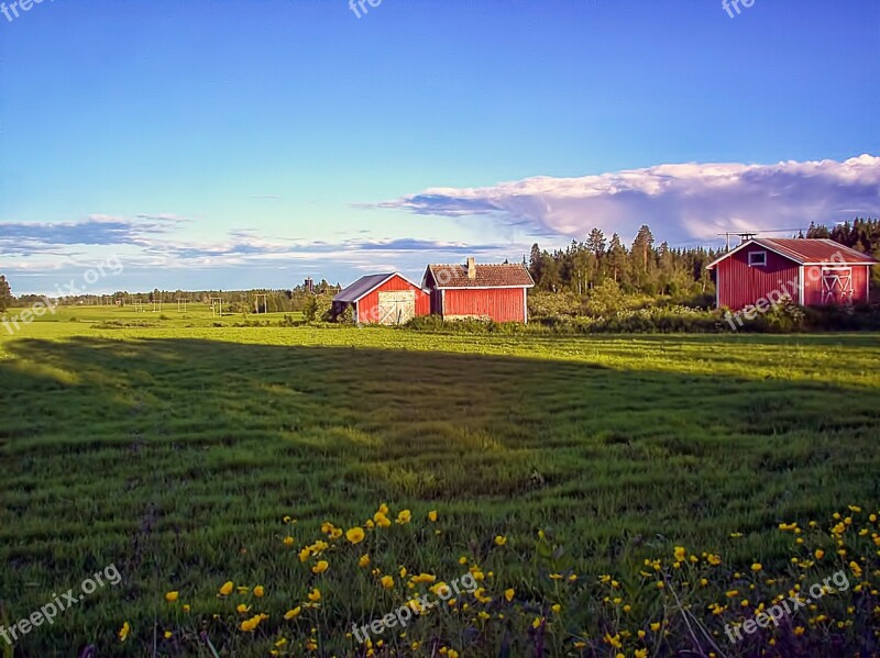 Countryside Finnish Summer Green Sunny