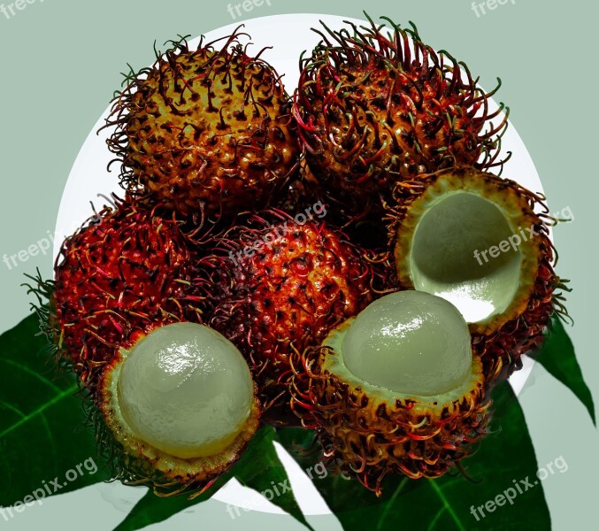 Rambutan Fruit Tropical Edible Hairy