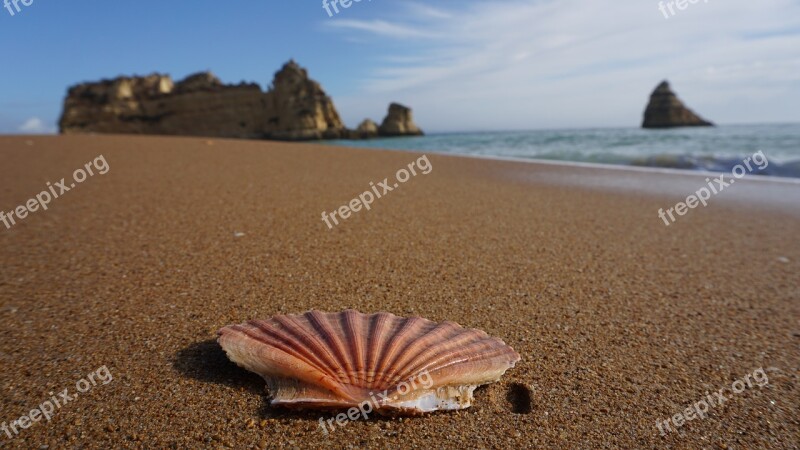 Shell Beach Faro Algarve Lagos