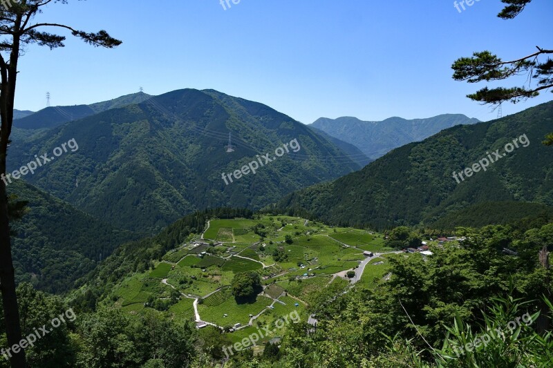 Heavenly Tea Plantations Gifu Sky Tea Plantation Landscape