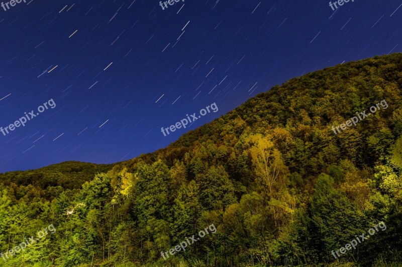 Sky Nature Stars Trees Night