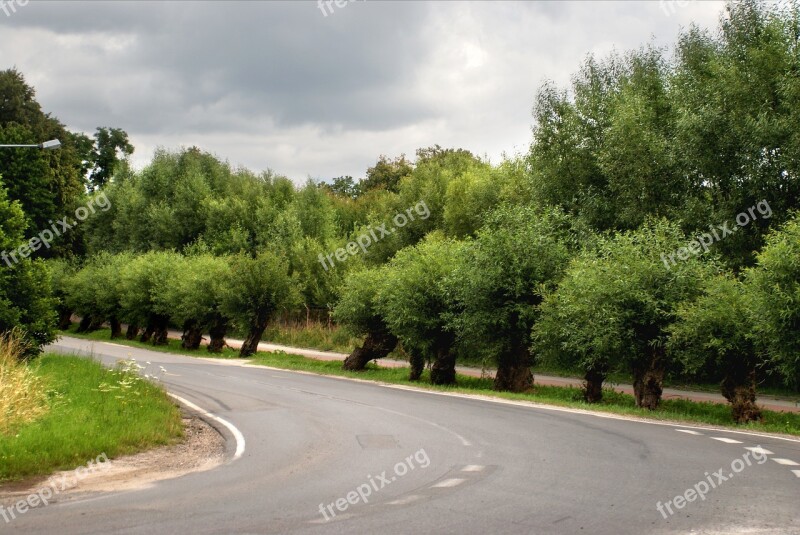 Bend Street Road Traffic Curve