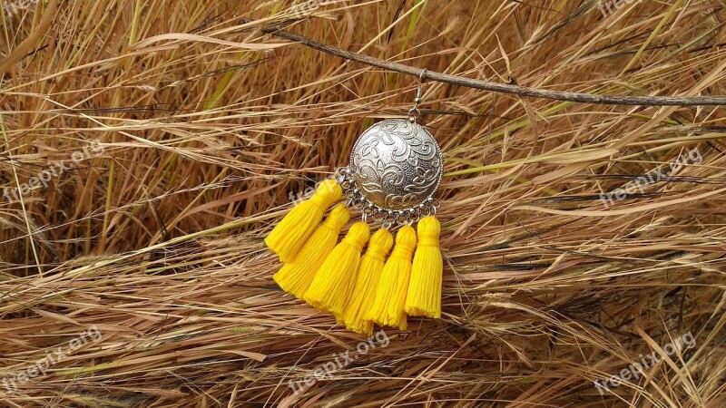 Tassels Tassel Earring Jewellery Free Photos