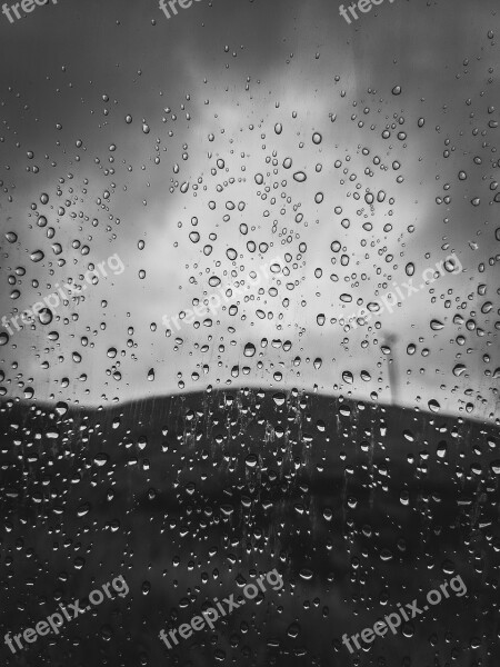 Variants Rain Wet Raindrop Free Photos