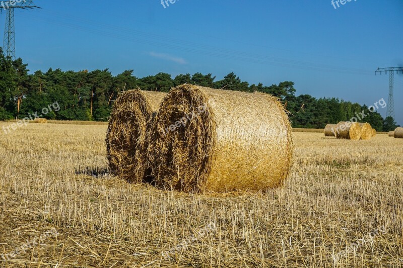 Straw Bales Field Harvest Agriculture Straw