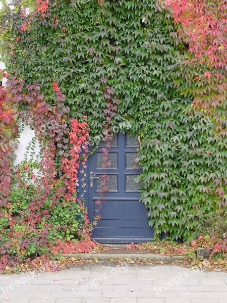 Front Door Overgrown Vine Romantic Free Photos