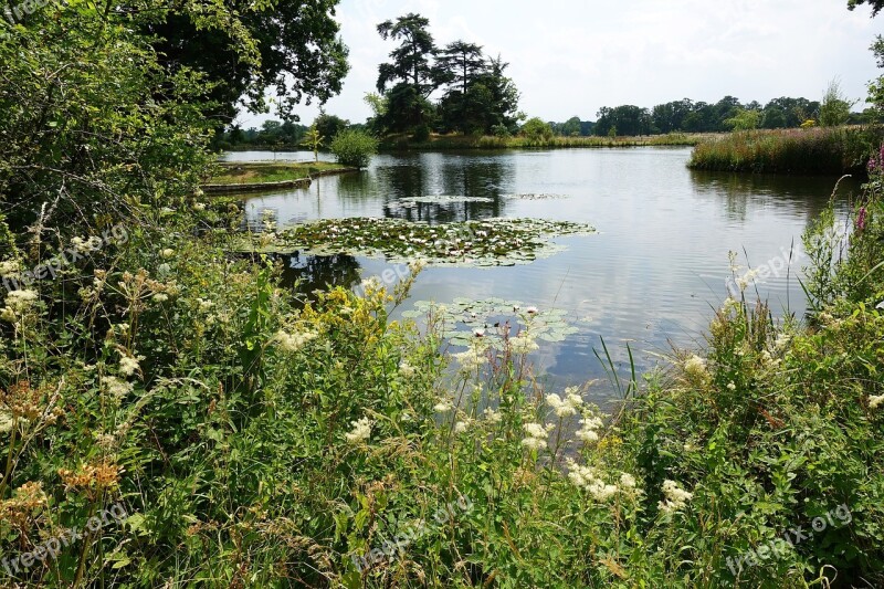 Lake Fresh Water Wild Green Landscape