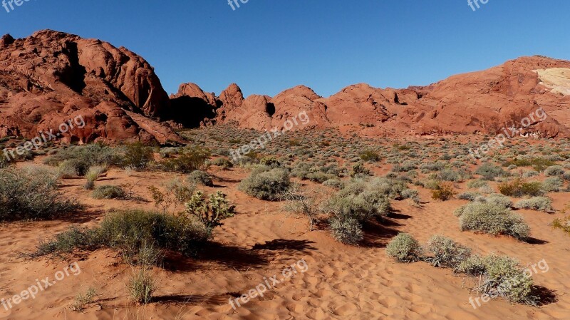 Desert Sands Sandstone Red Landscape