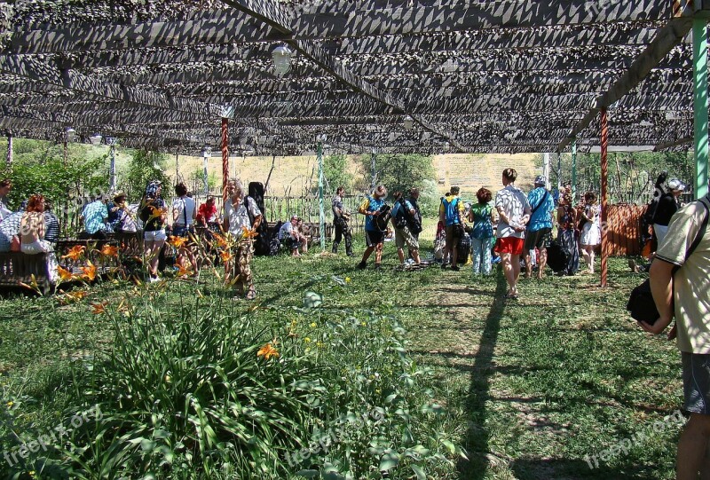 Canopy Net Summer Sun Shadow