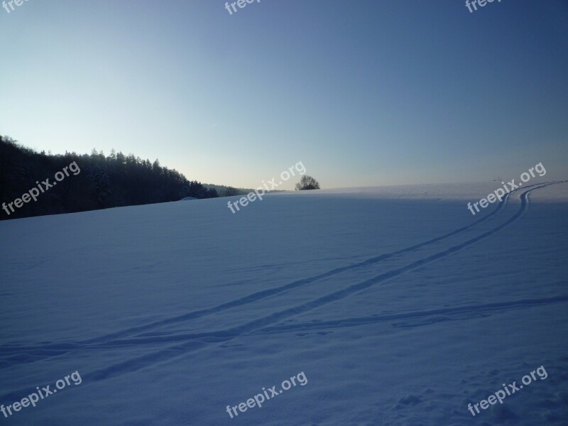 Winter Snow Cold Traces White