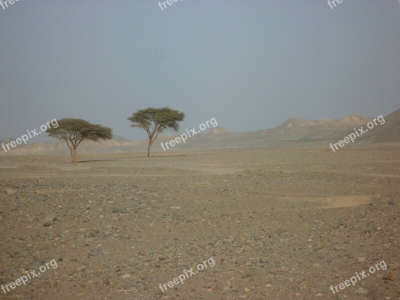 Egypt Desert Lonely Arid Drought